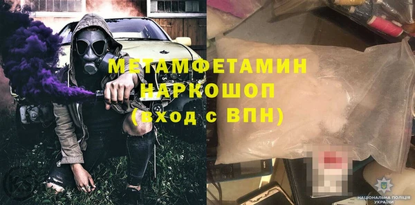 ГАЛЛЮЦИНОГЕННЫЕ ГРИБЫ Дубовка