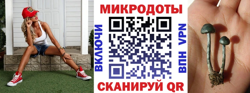 Галлюциногенные грибы прущие грибы  цены наркотик  Мостовской 